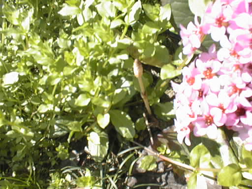 cNVi17N0424mnBej