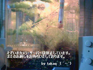 ҂Ă܂[!